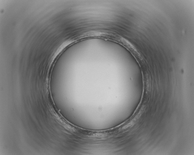 X0000078261178200611251321