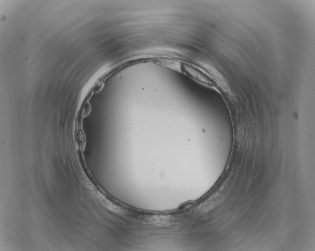 X0000078261180200611251321