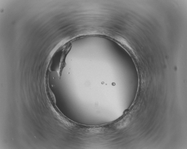 X0000078261181200611251321