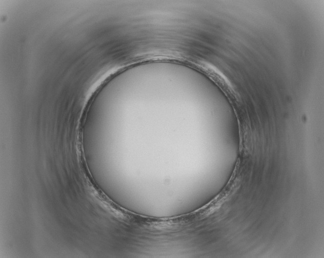 X0000078261182200611251321