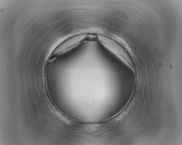 X0000078261184200611251321