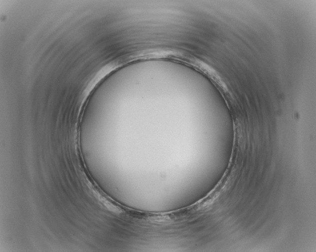 X0000078261186200611251321