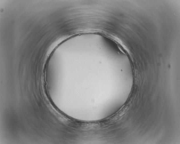 X0000078261187200611251321