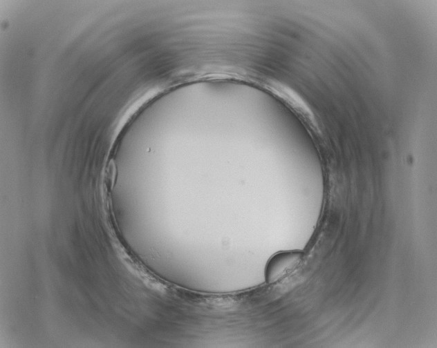 X0000078261190200611251321