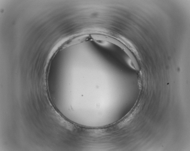 X0000078261192200611251321