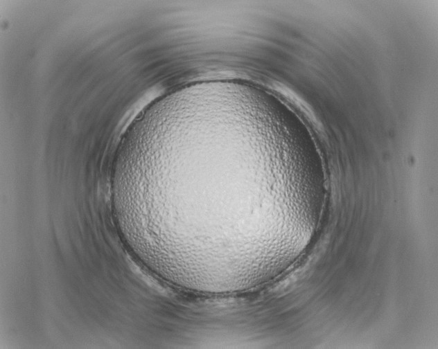 X0000078261193200611251321