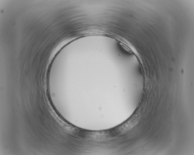 X0000078261195200611251321