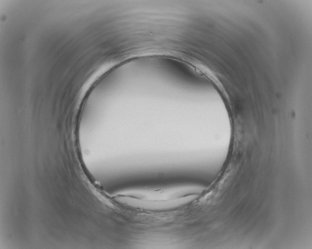 X0000078261197200611251321