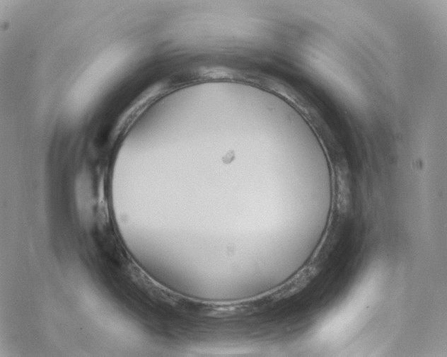 X0000078261198200611251321