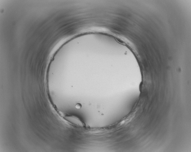 X0000078261199200611251321