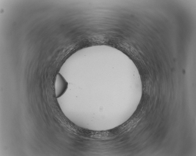 X0000078261201200611251320