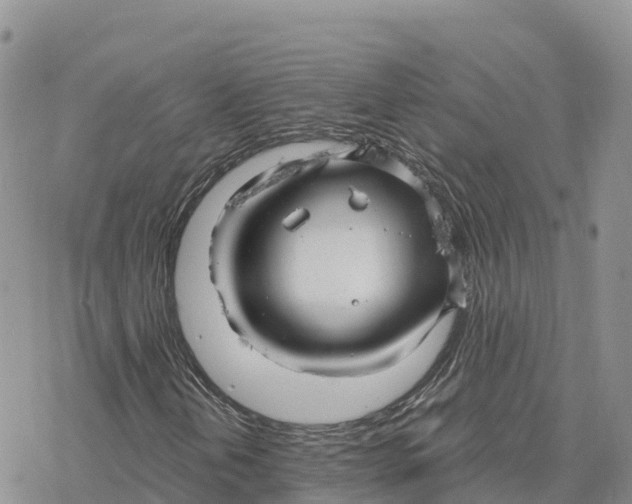 X0000078261202200611251320