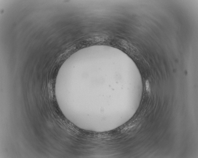 X0000078261203200611251320