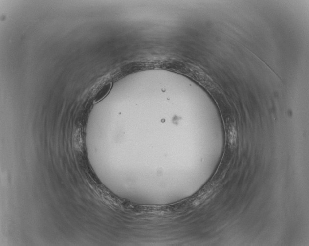 X0000078261204200611251320