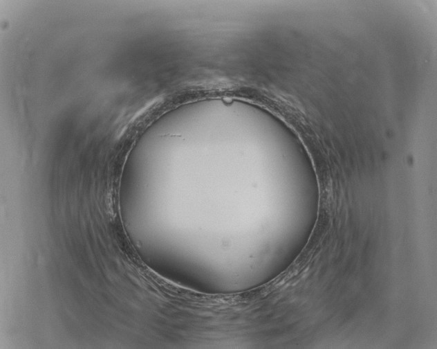 X0000078261205200611251320