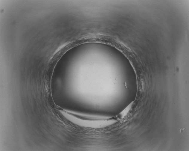 X0000078261206200611251320