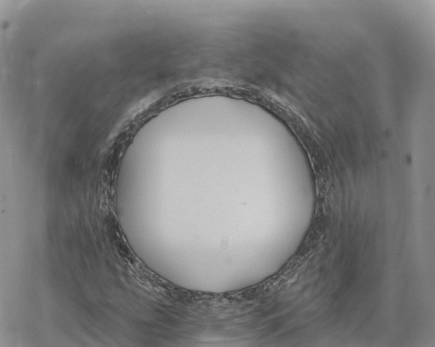 X0000078261207200611251320