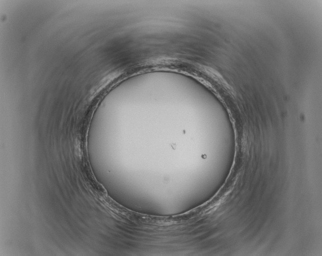 X0000078261209200611251320