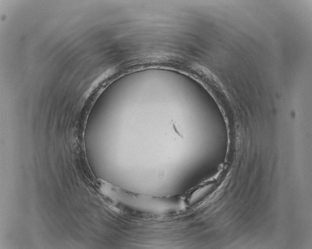 X0000078261210200611251320