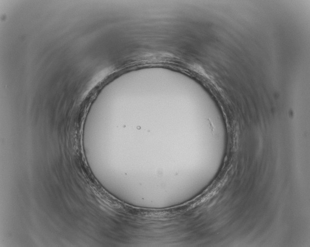 X0000078261211200611251320