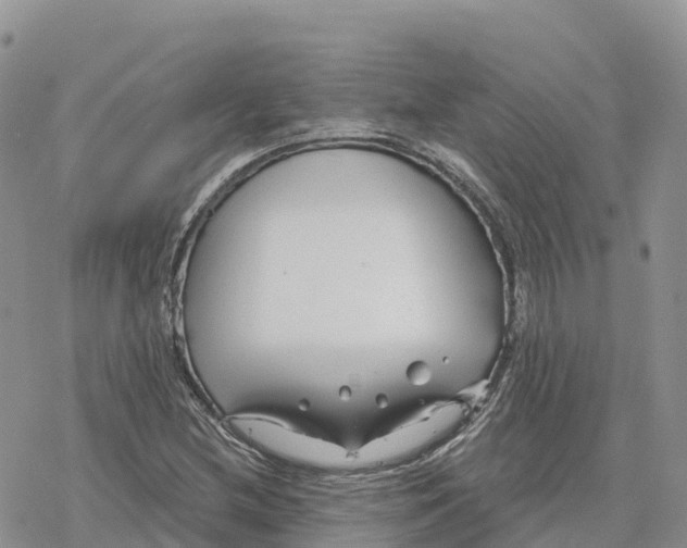 X0000078261212200611251320