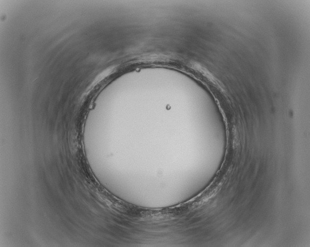 X0000078261213200611251320