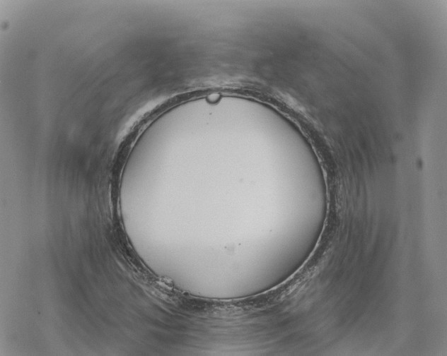 X0000078261214200611251320