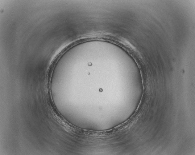 X0000078261216200611251320