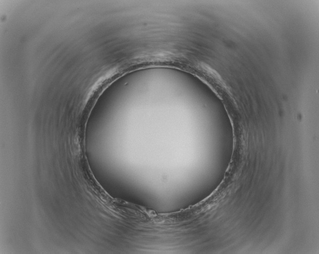 X0000078261218200611251320