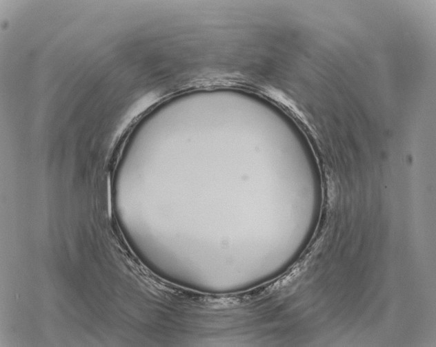 X0000078261219200611251320