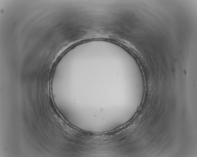 X0000078261220200611251320