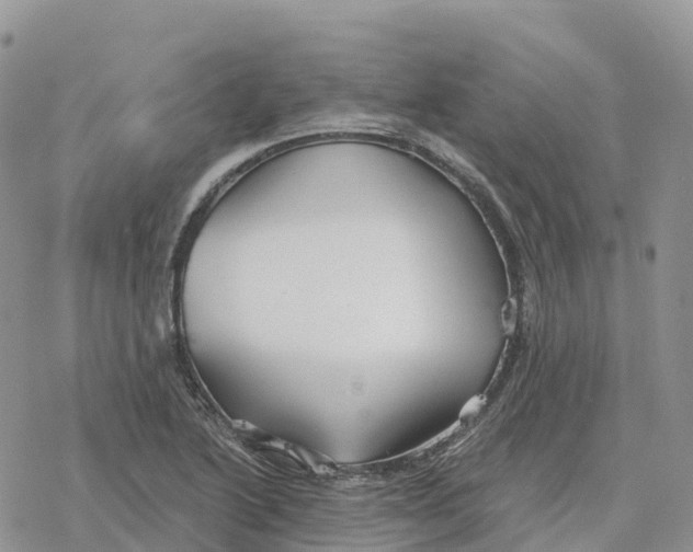 X0000078261222200611251320