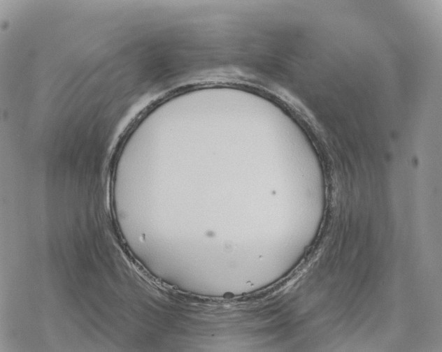 X0000078261224200611251320