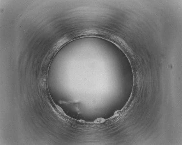 X0000078261225200611251320