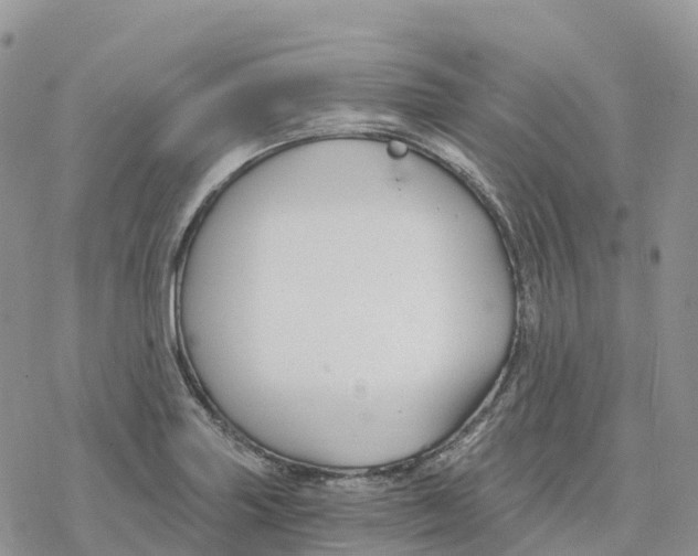 X0000078261227200611251320