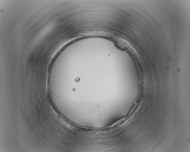 X0000078261228200611251320