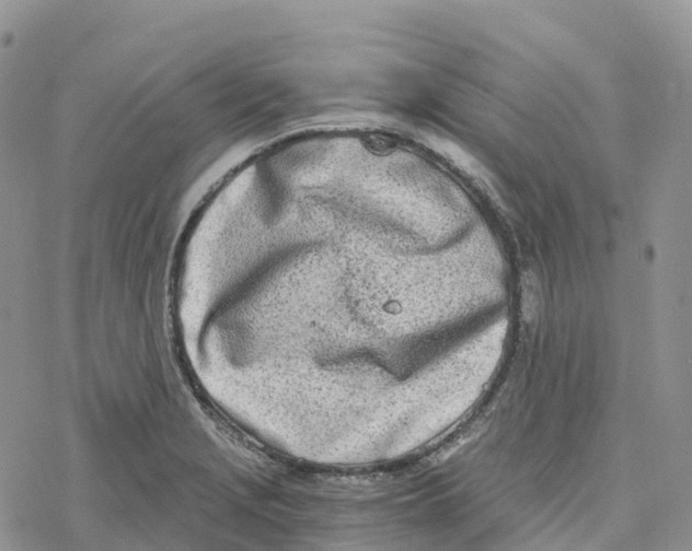 X0000078261229200611251320