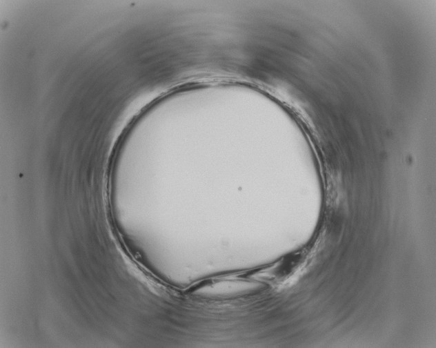 X0000078261231200611251320