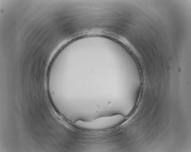 X0000078261232200611251320