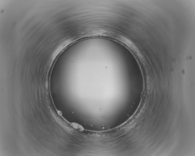 X0000078261234200611251320