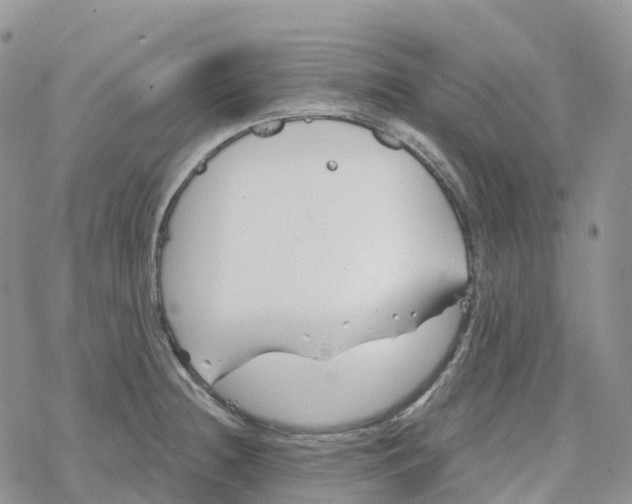 X0000078261236200611251320