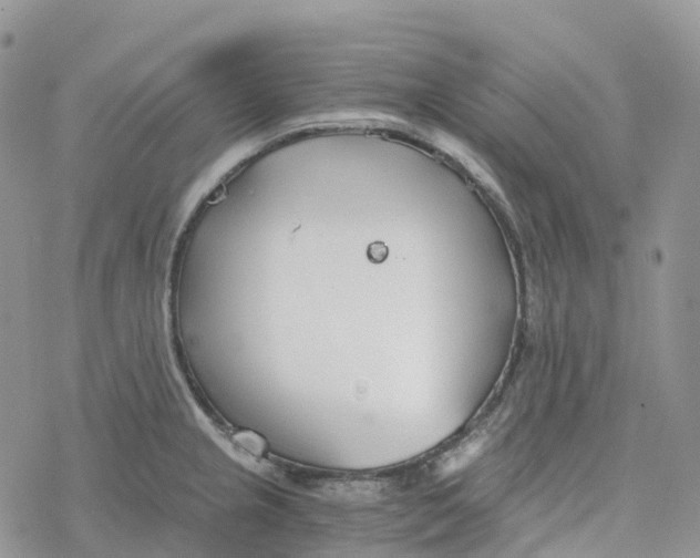 X0000078261237200611251320