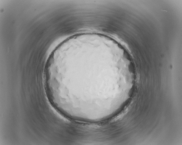 X0000078261239200611251320