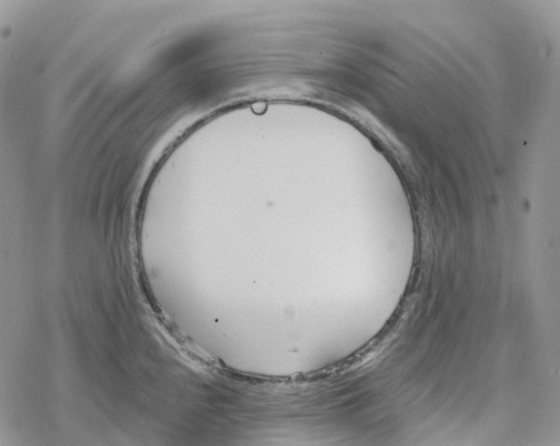 X0000078261240200611251320