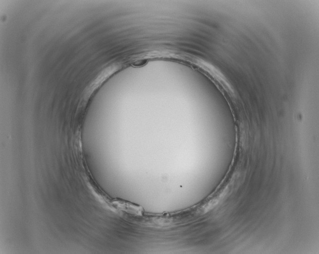 X0000078261241200611251320