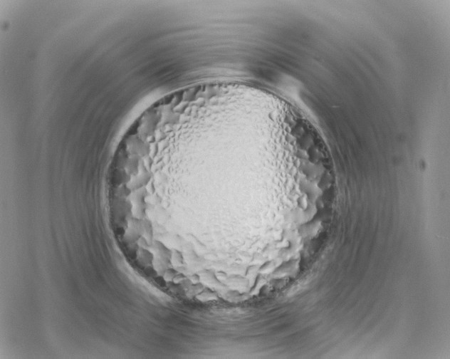 X0000078261243200611251320