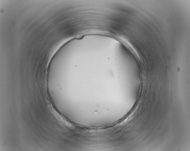 X0000078261244200611251320