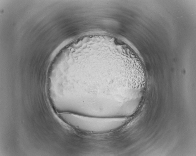 X0000078261245200611251321