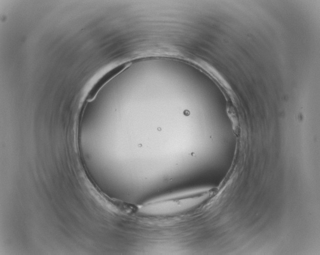 X0000078261246200611251321