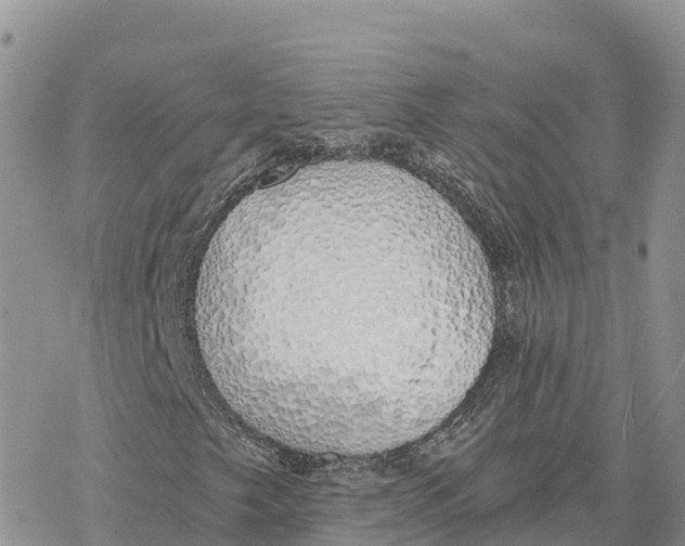 X0000078261249200611251320